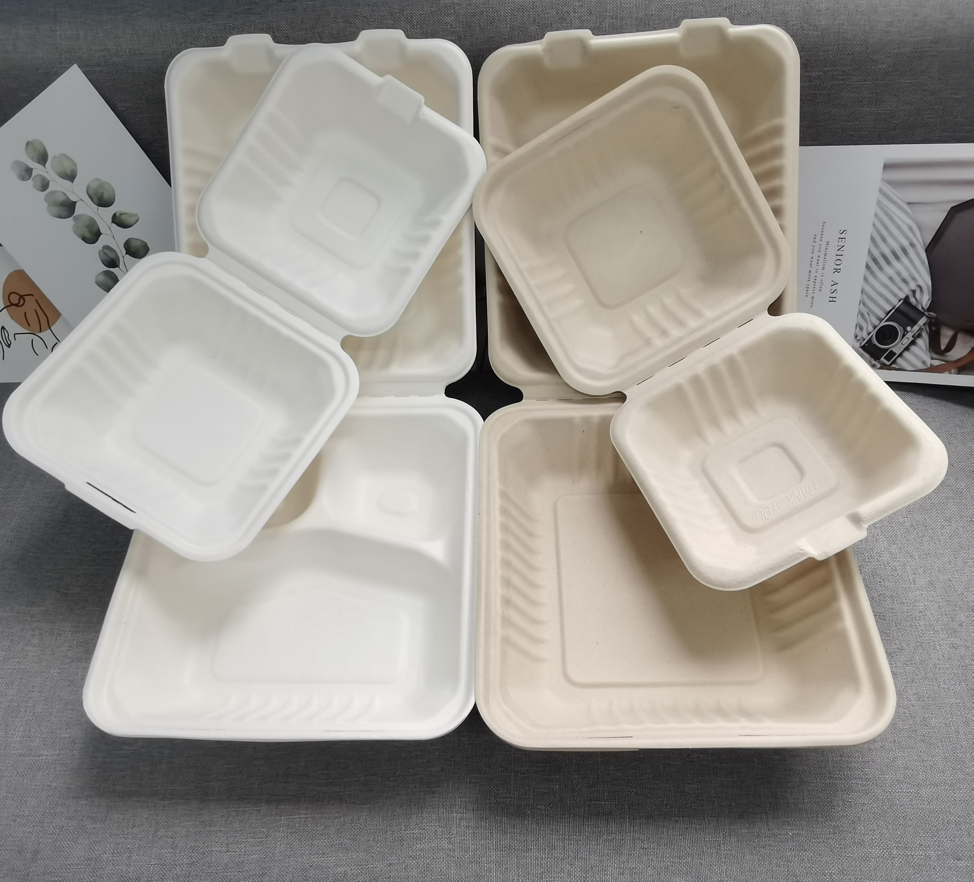 bagasse cutlery