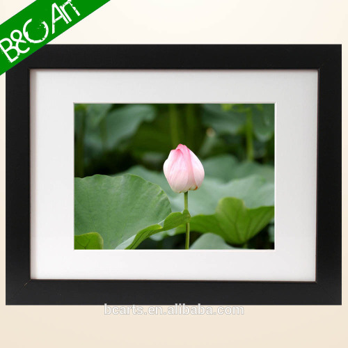 Fine art collection swell pink lotus modern flower oil painting