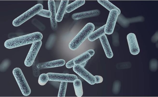 вредные микроорганизмы harmful microorganisms