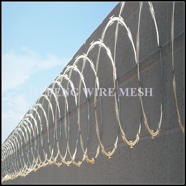 450mm/730mm/980mm Razor Wire / Galvanized Razor Barbed Wire