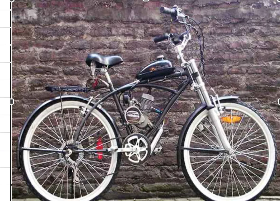 48cc Motor 26inch Beach V Brake Bike