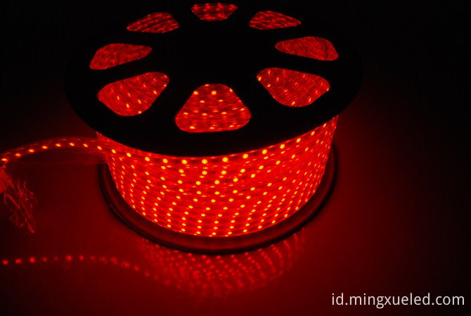 AC110V LED Tape Light AC110V LED Tape Light