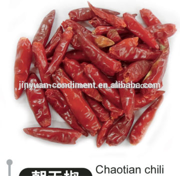 Top grade dried red chilli peppers
