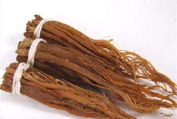 Top Quality Radix Ginseng Rubra