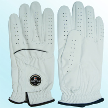 Fashion Genuine Leather Golf Gloves (JYG-29148)