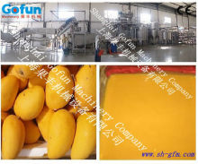 Better designed Mango pulp or puree production line