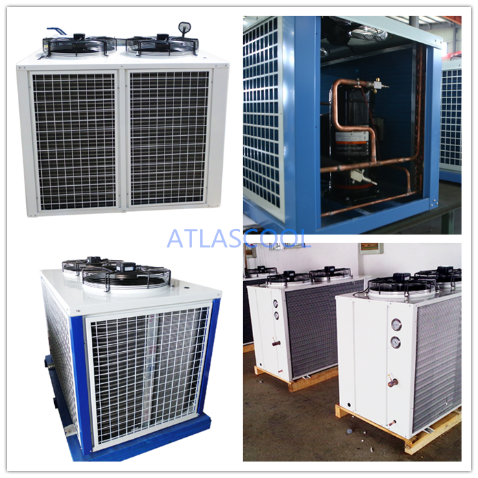 Unidad de condensación del compresor de cámara fría Cold Room Compressor Condensing Unit