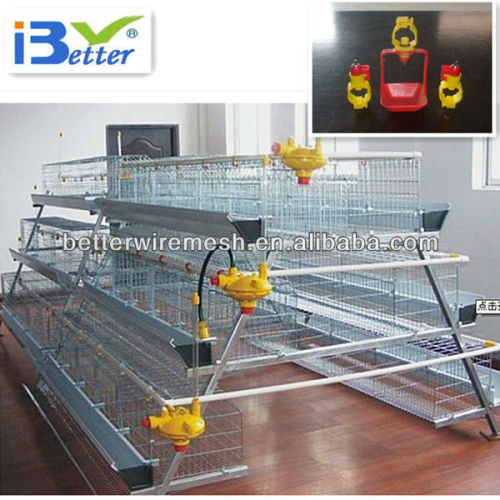 Professional High Quality Design layer chicken cage