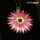 Pendentif réfléchissant en PVC haute visibilité Sun Flower