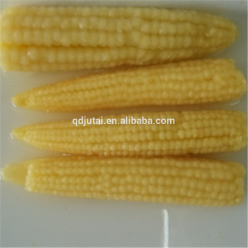 Canned Baby Corn, Price Canned Baby Corn, Canned Sweet Corn