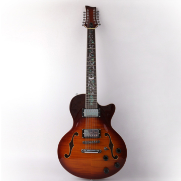 Electric 12 String Guitar: F Hole and Other Key Features