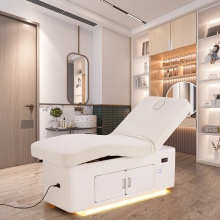 Electric Beauty Bed for Spa and Massage Tattoo Lounge