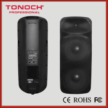 Professional outdoor speaker system