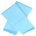 Professional Non Woven Fabric pet pad