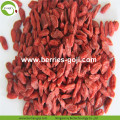 Factory Supply Fruit Box Pakket Groothandel Goji Berry