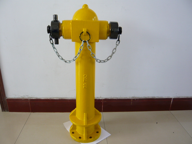 Outdoor Ground Fire Hydrant for Sale