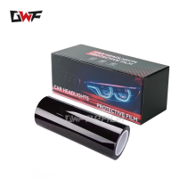 Smoked headlights dodge charger