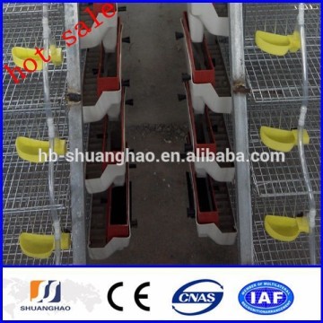 2014 new!!! cheap quail cage/quail cages/feeding system (manufactory)