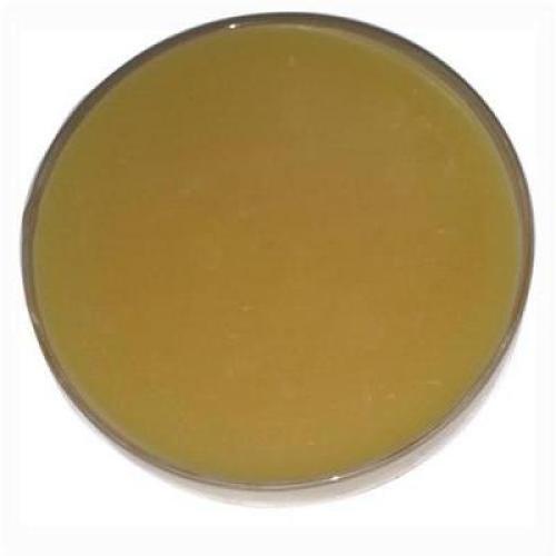 Lanolin Anhydrous