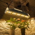 Reka Bentuk Fluence 240W 450W LED Grow Light Bar