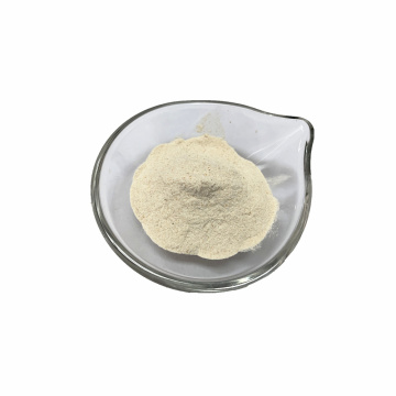 Shrimp Powder 21076 Seafood Flavor Powder