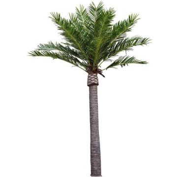 Artificial Palm Tree Leaves and Branches