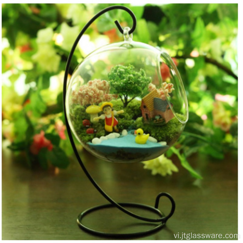 Thực vật đẹp thực sự chức năng Terrarium