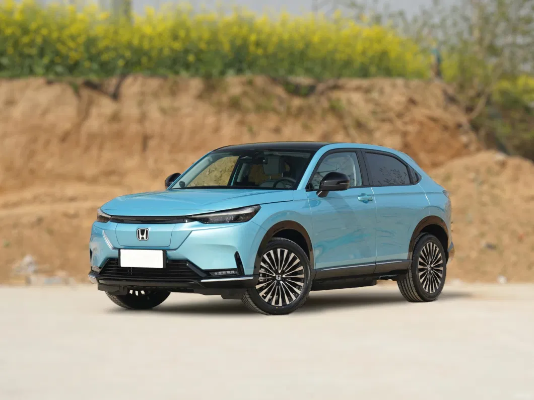 New Energy Vehicles Nev 2022 EV E: Ns1 E-Dong Version SUV Electric Vehicle New Cars for Sale