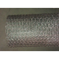 galvanized hexagonal mesh for cage rabbit chicken monkey