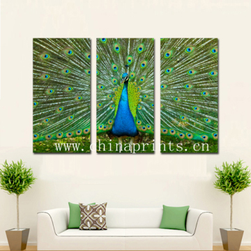 Peacock Triptych Painting Artworks (SJMD3522)