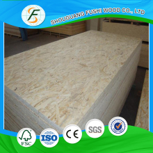 Oriented Strand Board ( OSB )