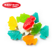 Assorted Fish Sweet Wholesale Gummy Candy