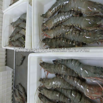 best quality delicious dried small shrimps