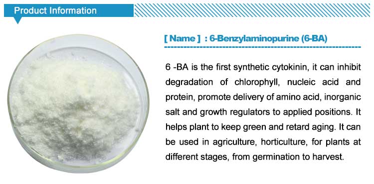 Plant growth regulator 6BA 6-benzylaminopurine 6-benciladenina 98%TC CAS 1214-39-7