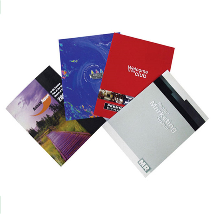 Tri Fold A4 Booklet Printing Colorful Company Brochure