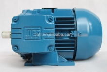 asynchronous motor Three phase induction electric motor Squirrel cage motor