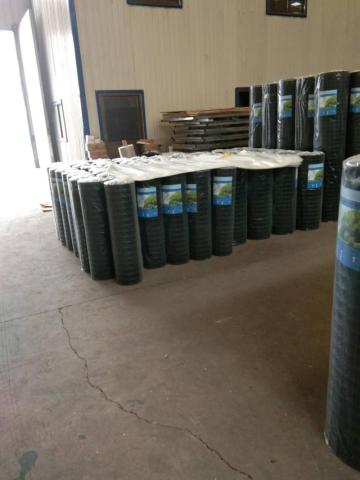 Hot dipped galvanized welded wire mesh before PVC coated