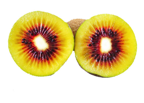 Kiwi fruit seed Chinese gooseberry seeds For Planting