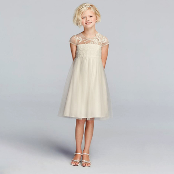 Mesh Flower Girl Dress with Illusion Neckline Design Pictures Kids Clothing