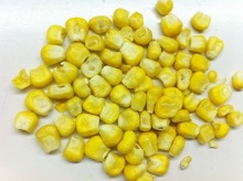 Wholesale Freeze Dried Sweet Corn