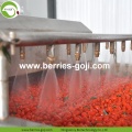 โรงงานซัพพลายโภชนาการรับรอง Organic Wolfberries