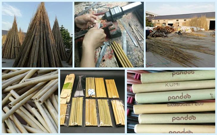 Reusable & Biodegradable Bamboo Drinking Straws