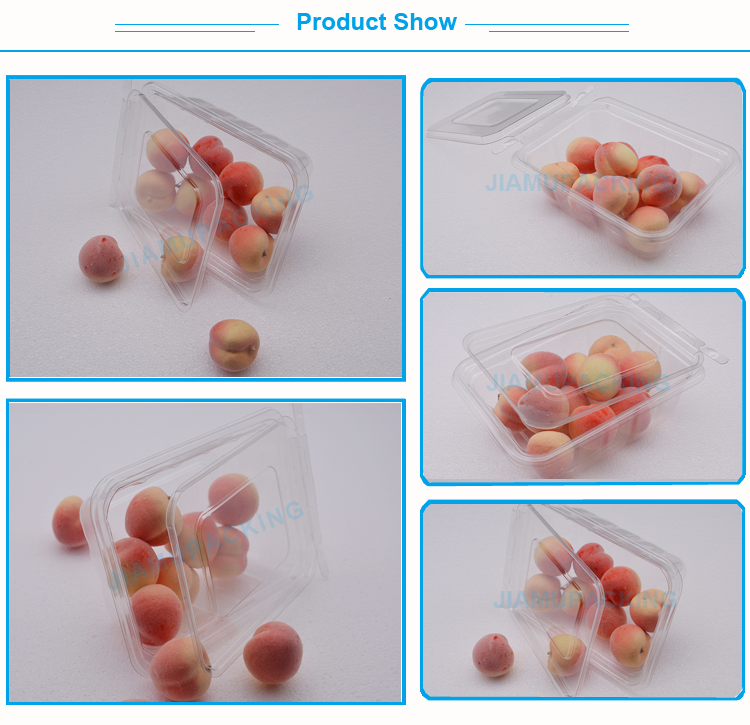 New arrival clear rectangular salad box