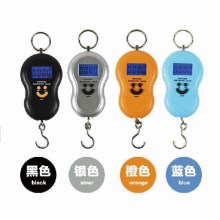 portable digital hanging scale
