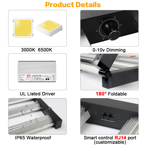 Iluminación de plantas de espectro completo LED 1000W Crece la luz