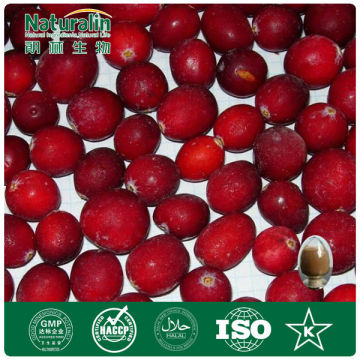 Natural Cranberry (bilberry ) extract powder 25% anthocyanidin