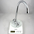 Wall Mounted Single Handle Kitchen Tap Cold