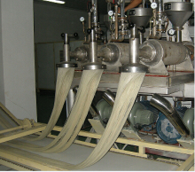 Rice noodle machine