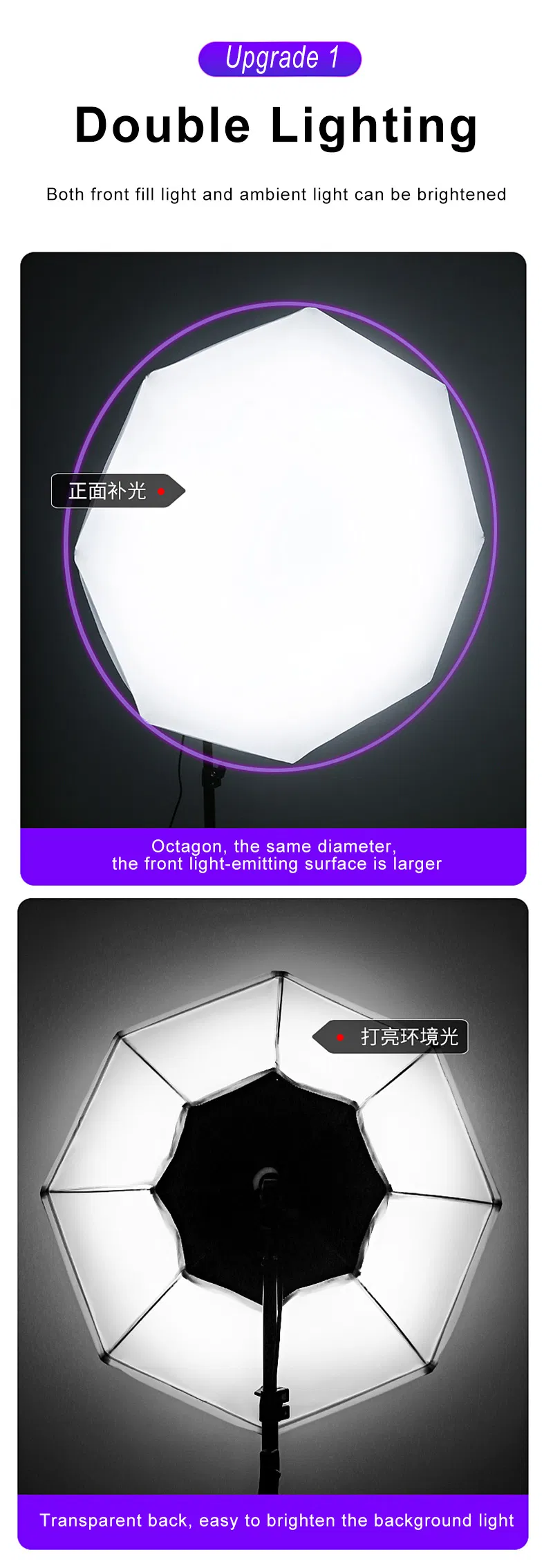 Professional Octagon Softbox for Bowens Mount Photography Lighting