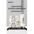Oxygen Generator Production System
